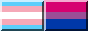 Transgender and Bisexual